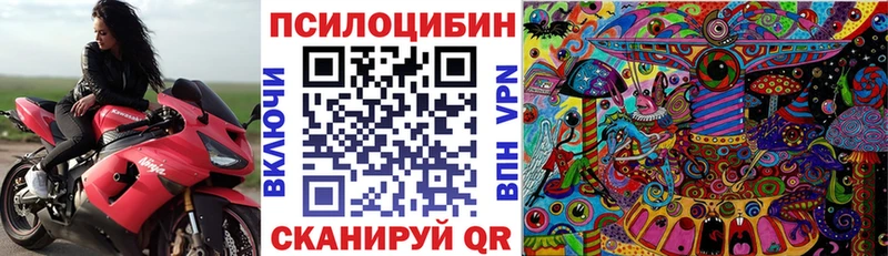 купить наркоту  Балашов  Псилоцибиновые грибы Psilocybine cubensis 
